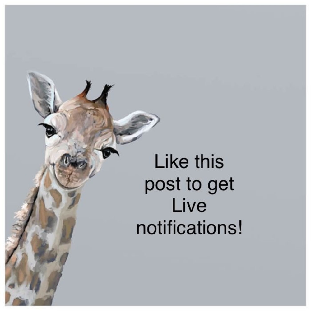 Like to be notified